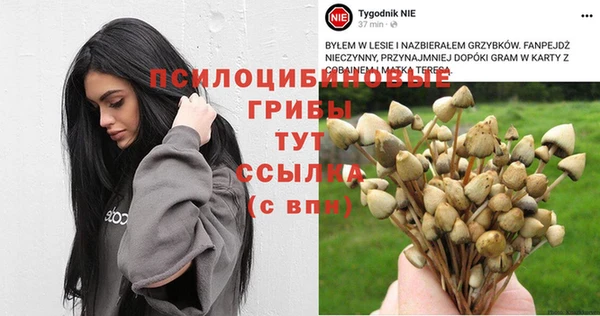 ALPHA-PVP Белокуриха