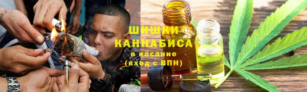 стаф Тайга