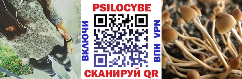 гидра   Вятские Поляны  Галлюциногенные грибы Psilocybe 
