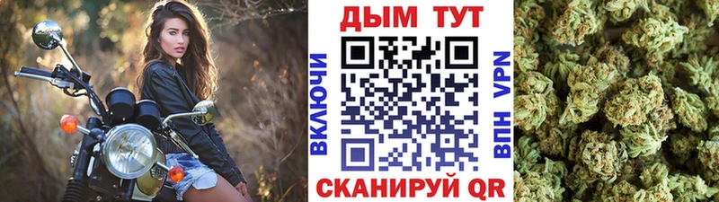 Марихуана White Widow Вятские Поляны